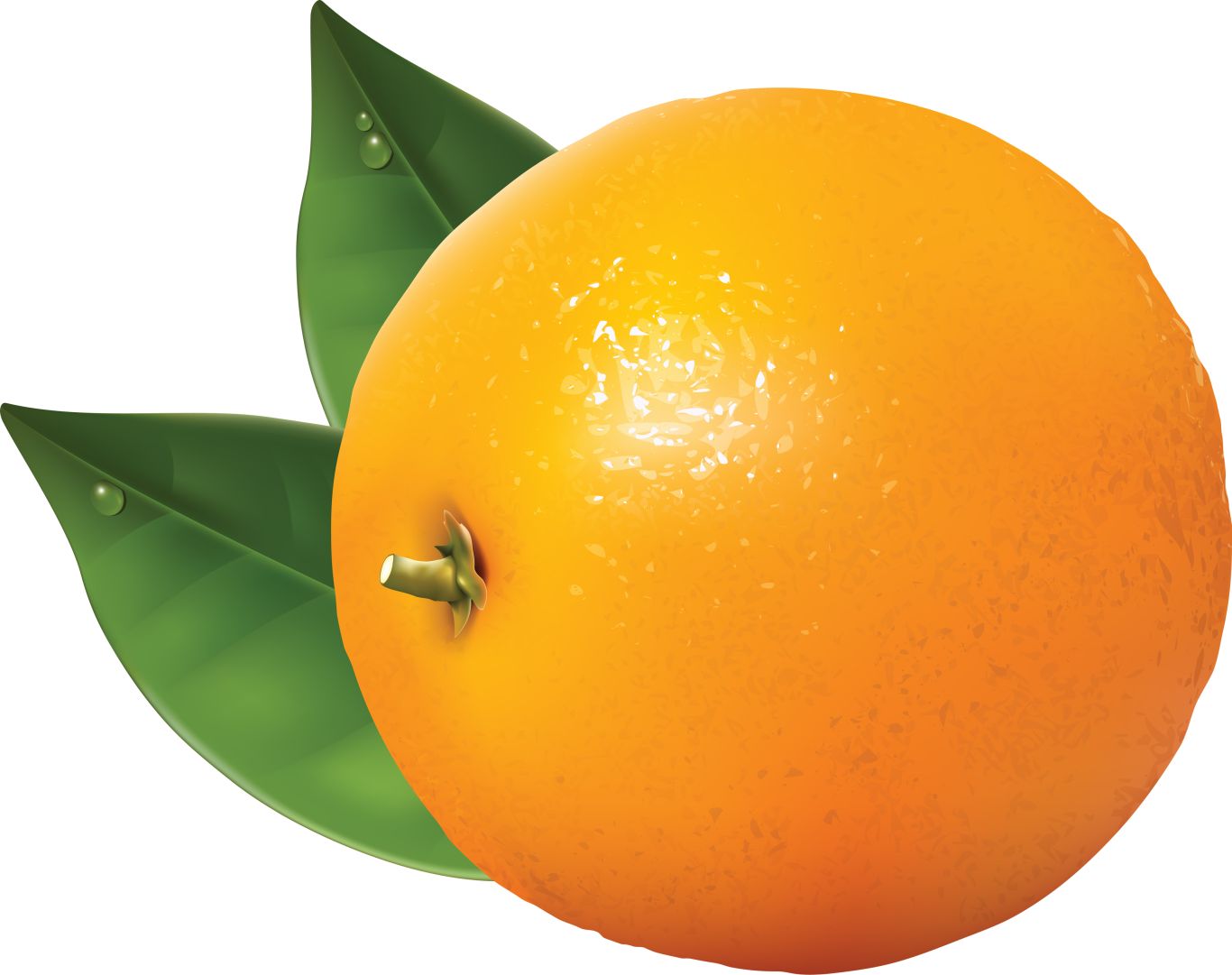 Orange PNG image with gree leaves    图片编号:774
