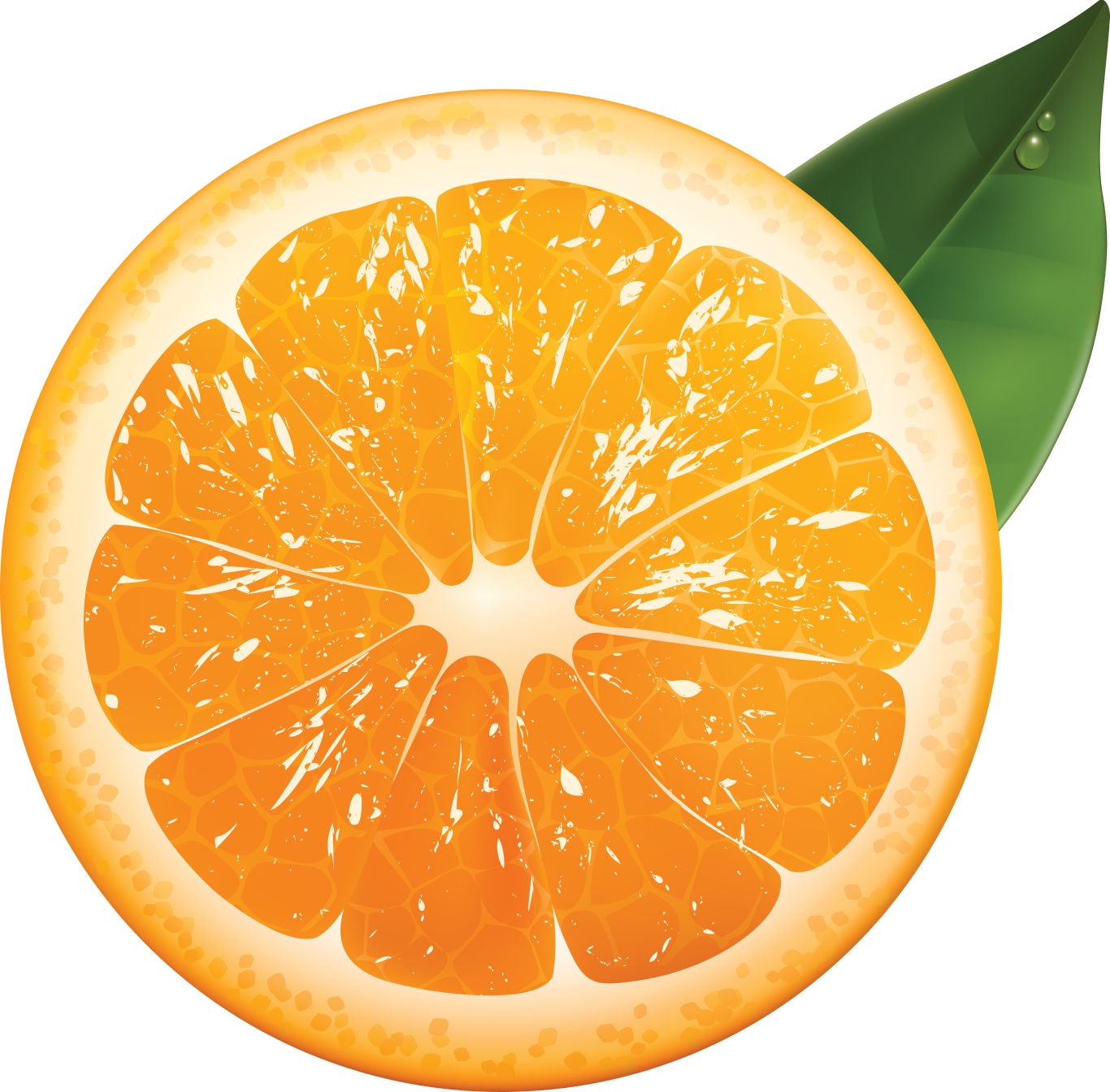 Orange cut PNG    图片编号:775
