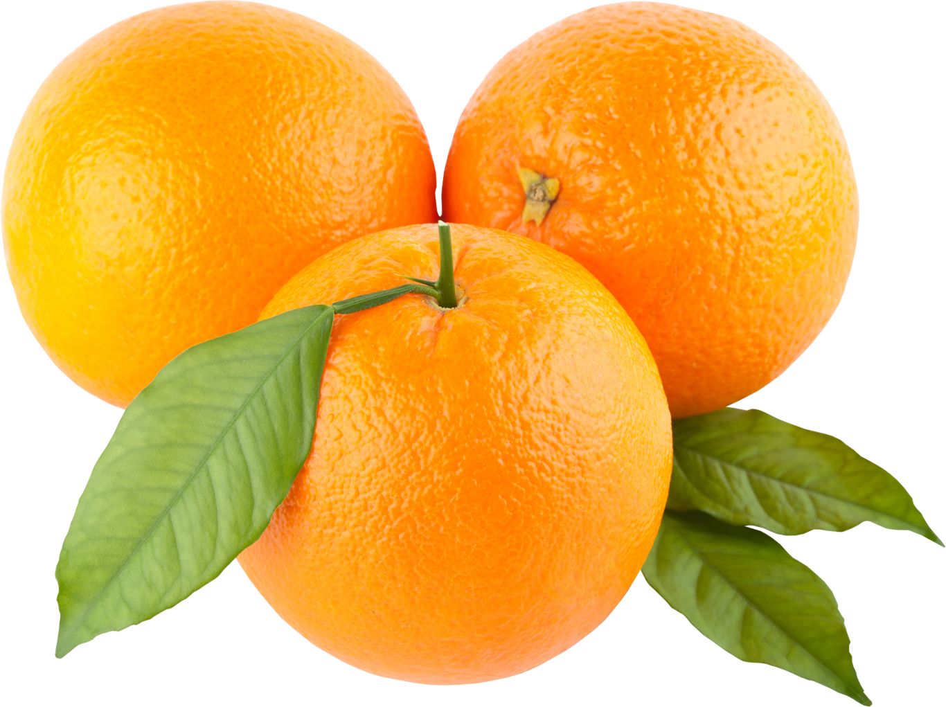 three oranges with leaves PNG image    图片编号:778