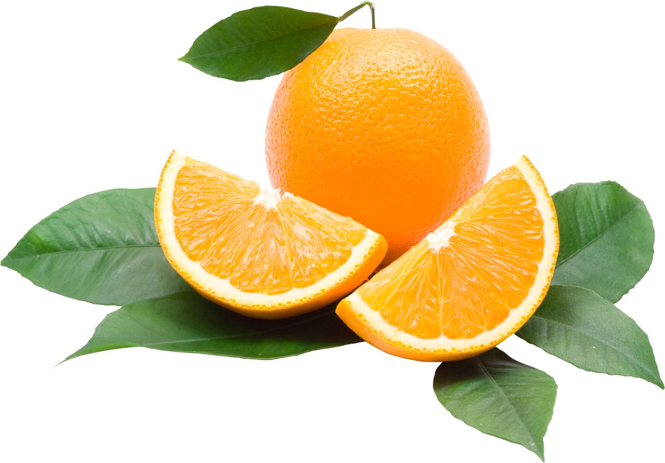 Cutted two oranges PNG image    图片编号:779