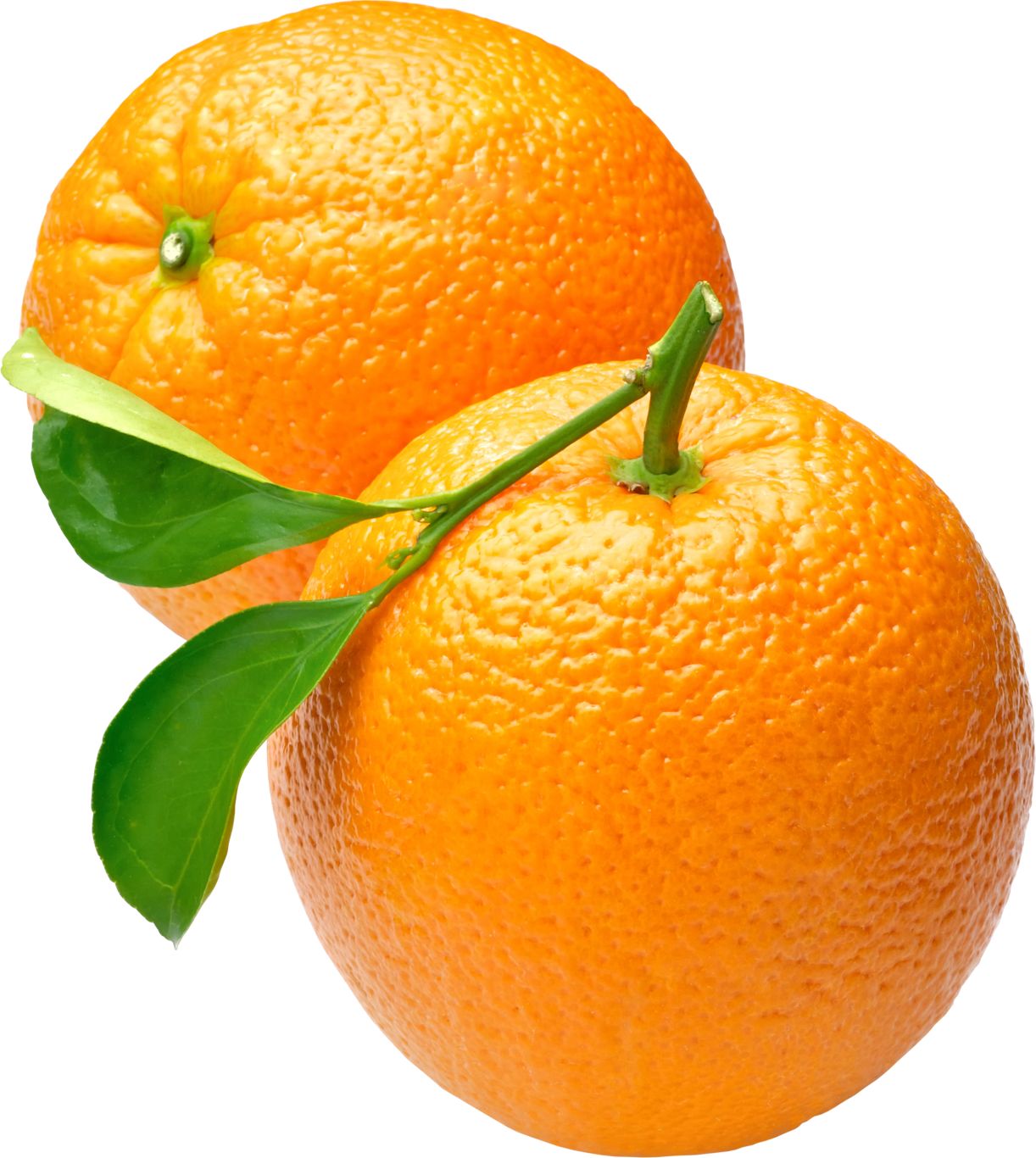 two oranges PNG image    图片编号:780