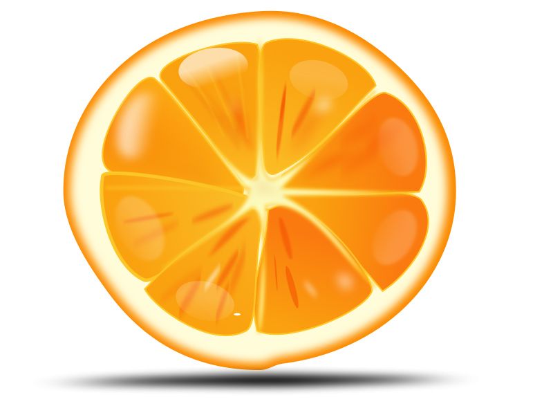Orange PNG image, free download    图片编号:787