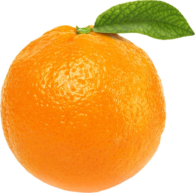 Orange PNG image, free download    图片编号:789
