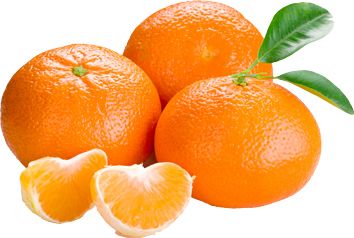 Three oranges PNG image    图片编号:809