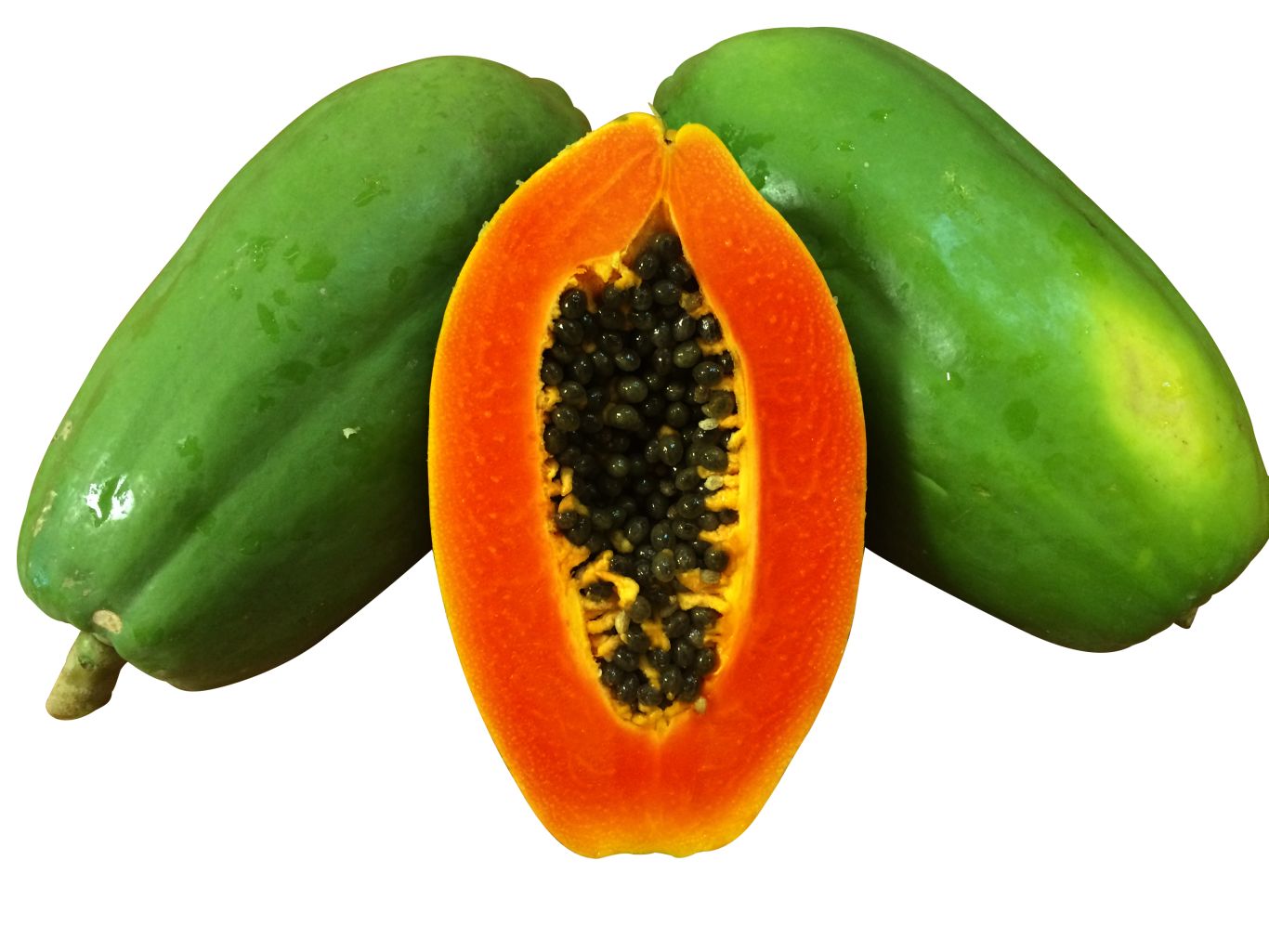 Papaya PNG    图片编号:105559