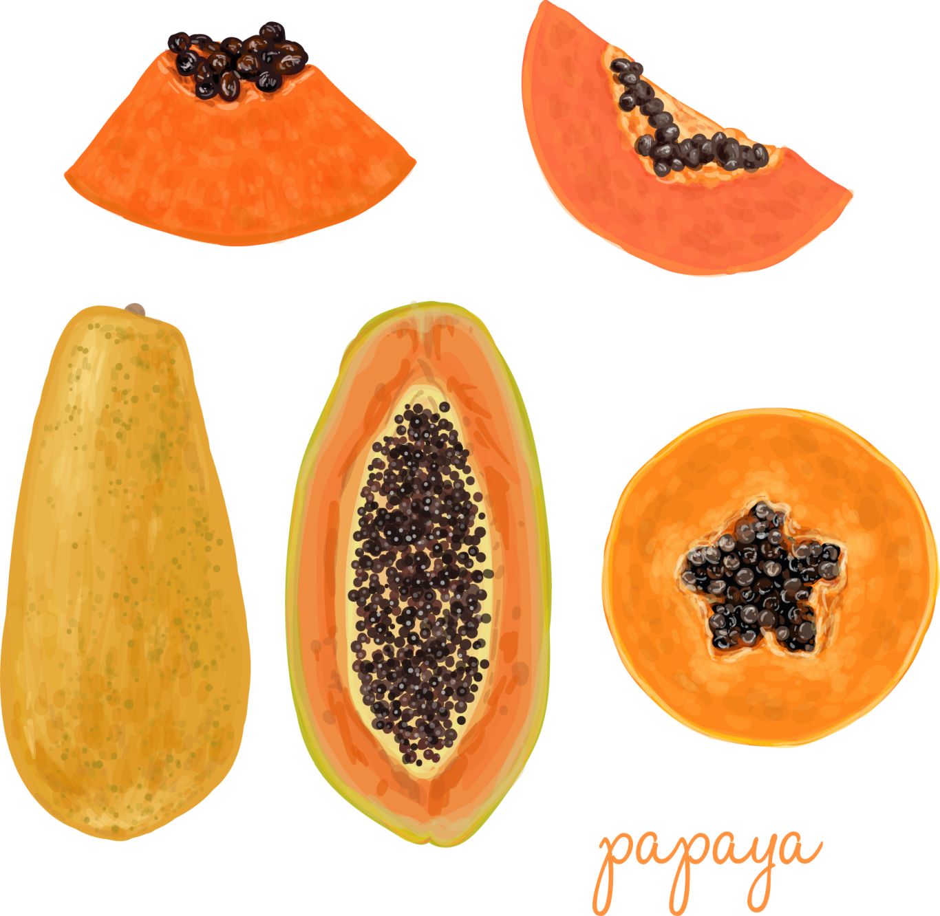 Papaya PNG    图片编号:105578