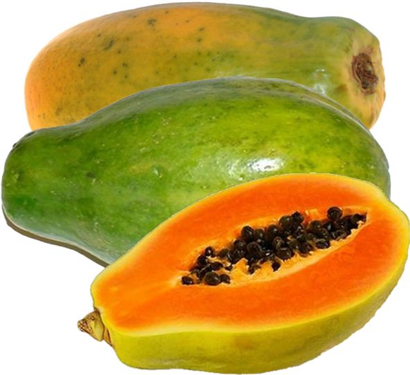 Papaya PNG    图片编号:105593