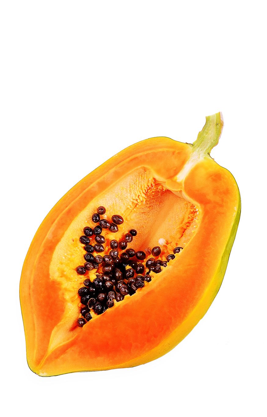 Papaya PNG    图片编号:105602