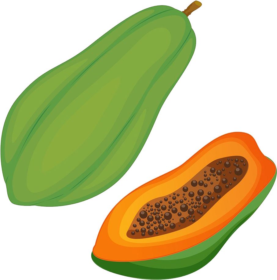 Papaya PNG    图片编号:105550