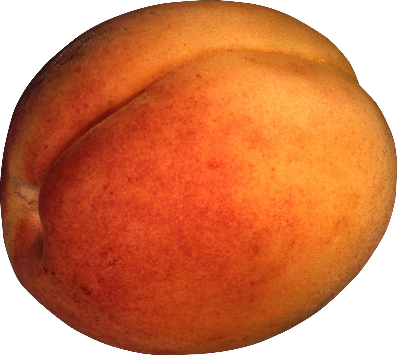 Peach PNG image    图片编号:4839
