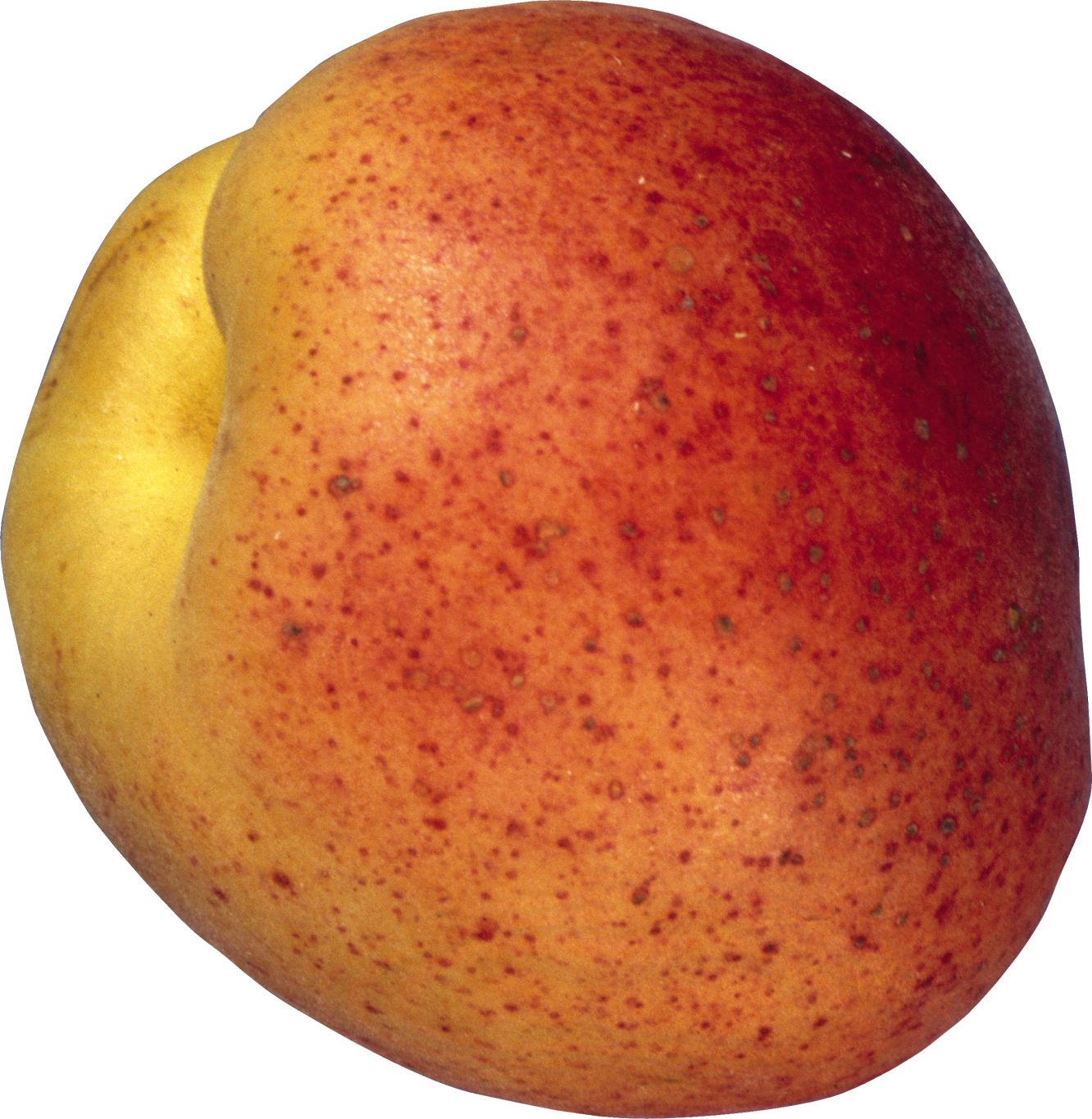 Peach PNG image    图片编号:4840