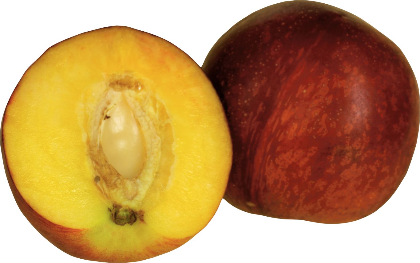 Peach PNG image    图片编号:4841