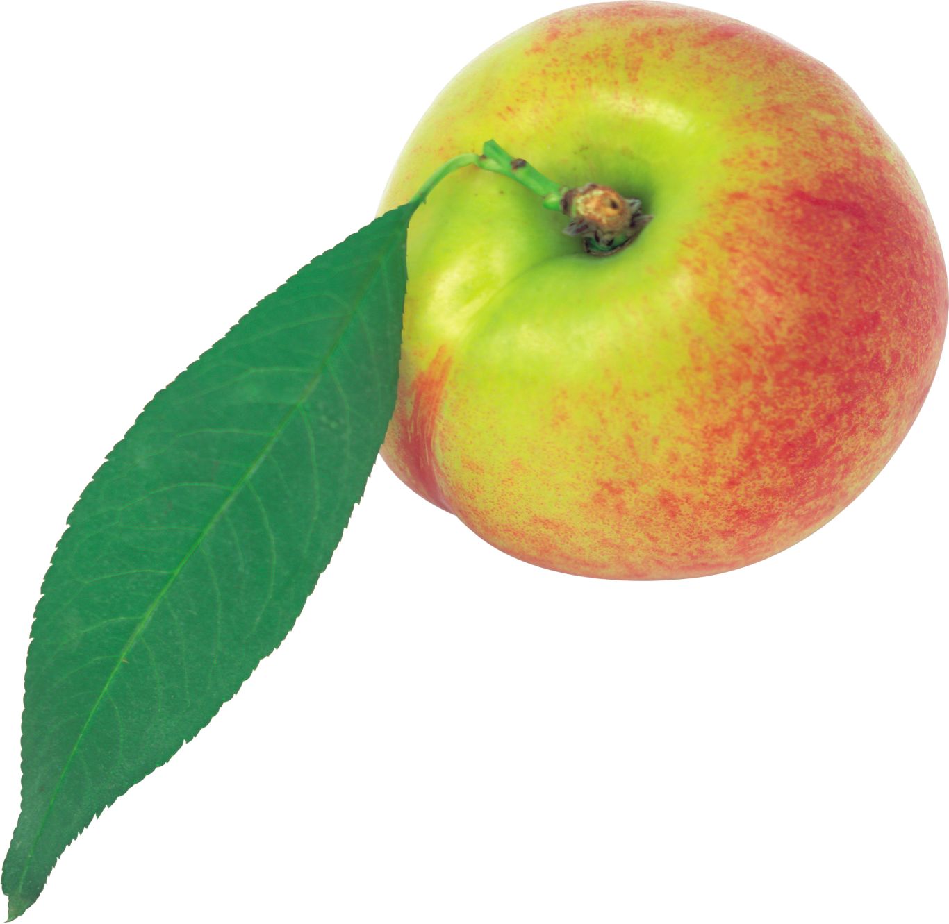 Peach PNG image    图片编号:4846