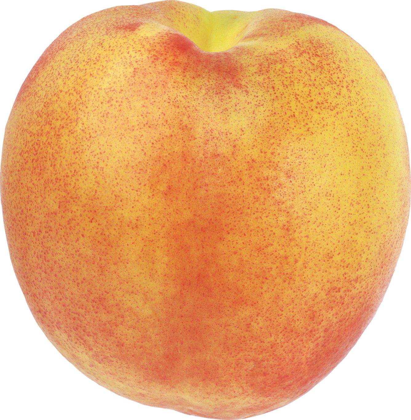 Peach PNG image    图片编号:4849