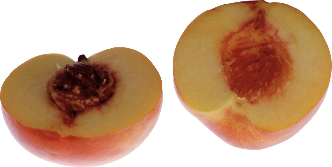 Peach PNG image    图片编号:4853