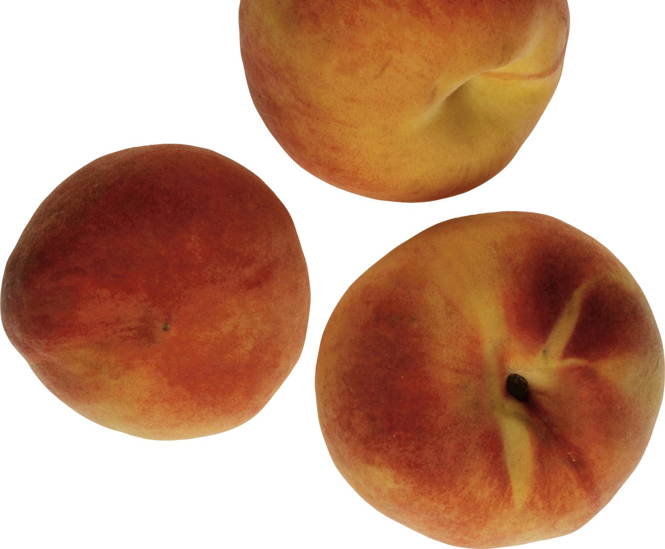 Peach PNG image    图片编号:4854