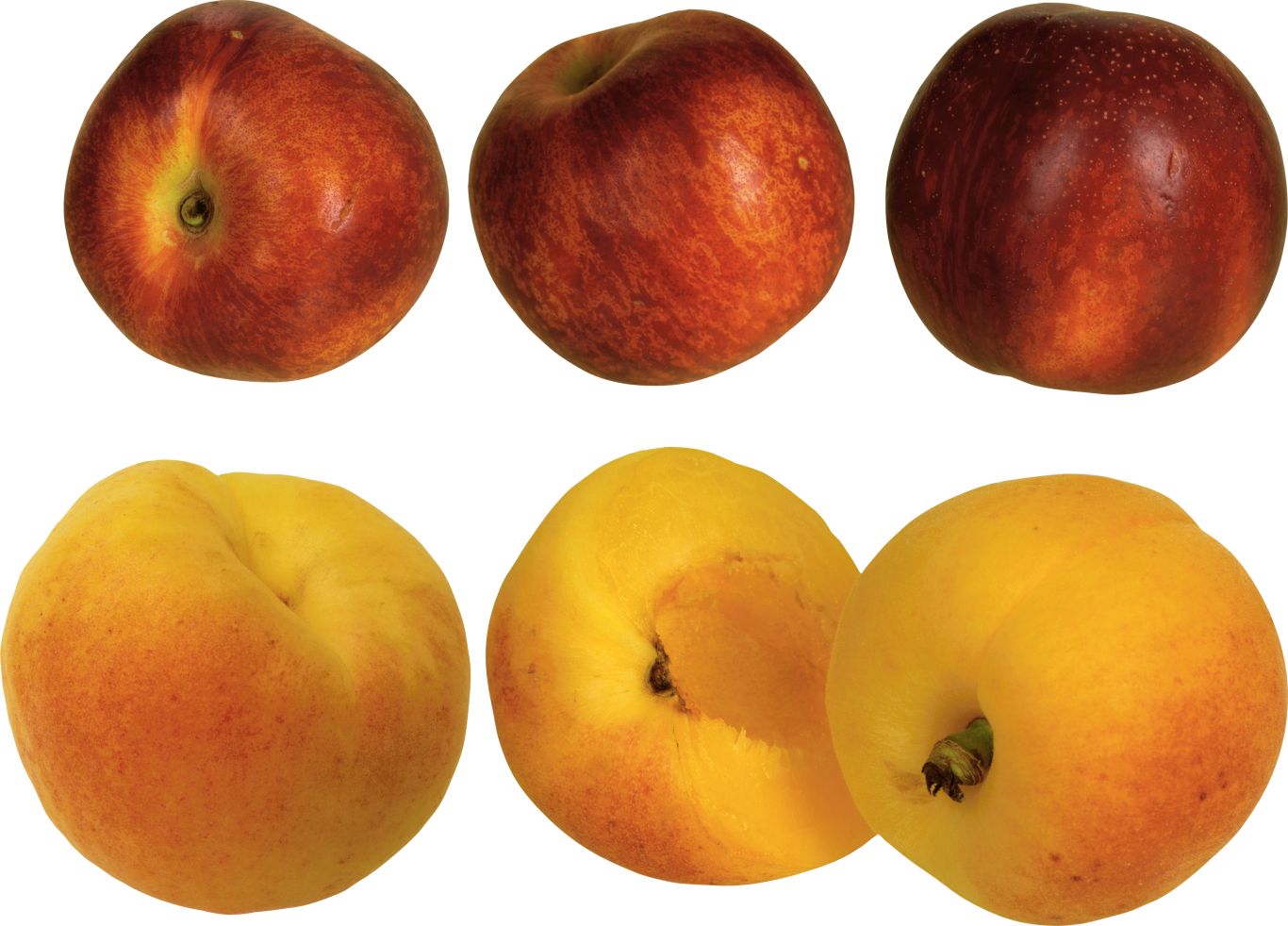 Peach PNG image    图片编号:4856