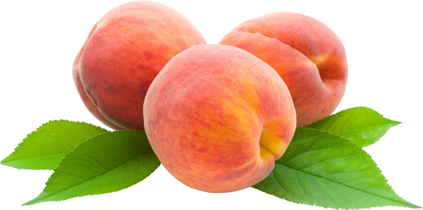 Peach PNG image    图片编号:4860