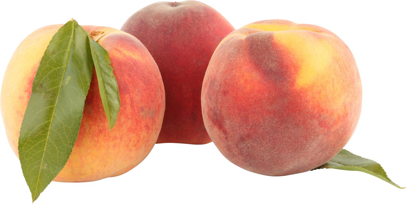 Peach PNG image    图片编号:4861