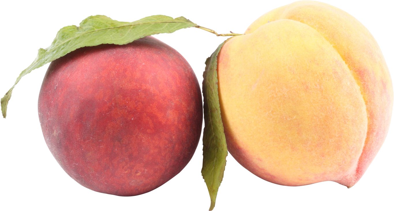 Peach PNG image    图片编号:4864