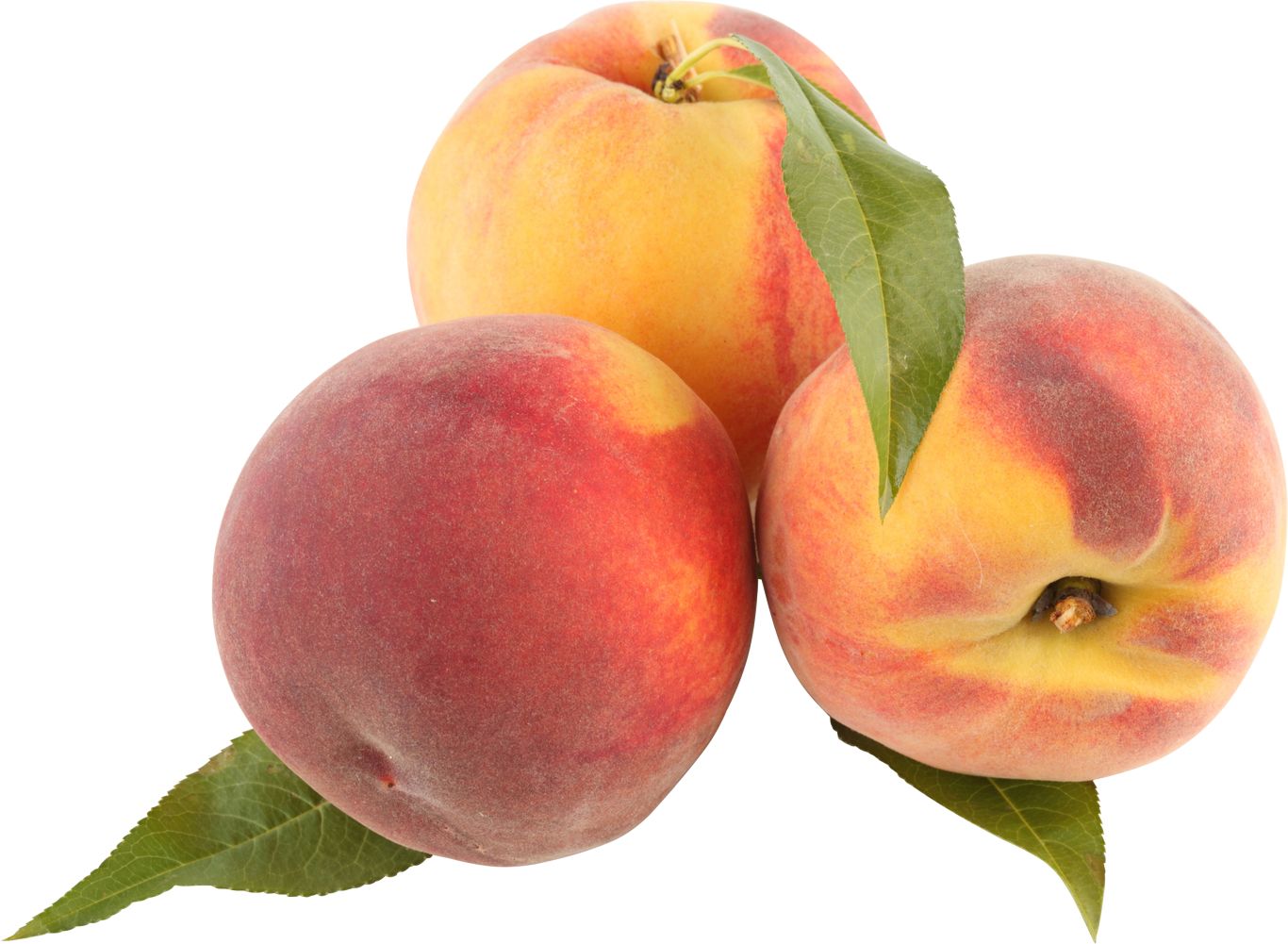 Peach PNG image    图片编号:4869