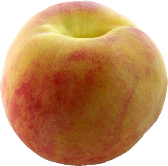 Peach PNG image    图片编号:4917