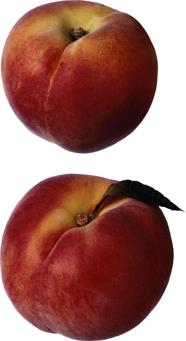 Peach PNG image    图片编号:4908