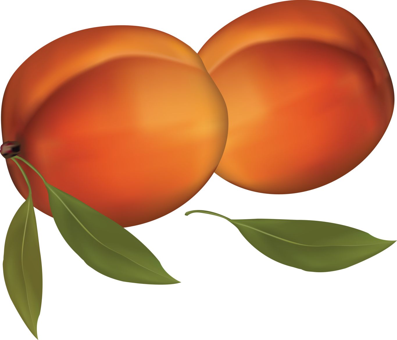 Peach PNG image    图片编号:4902