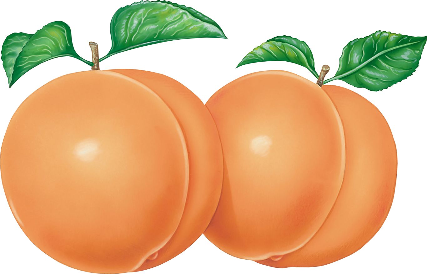Peach PNG image    图片编号:4899