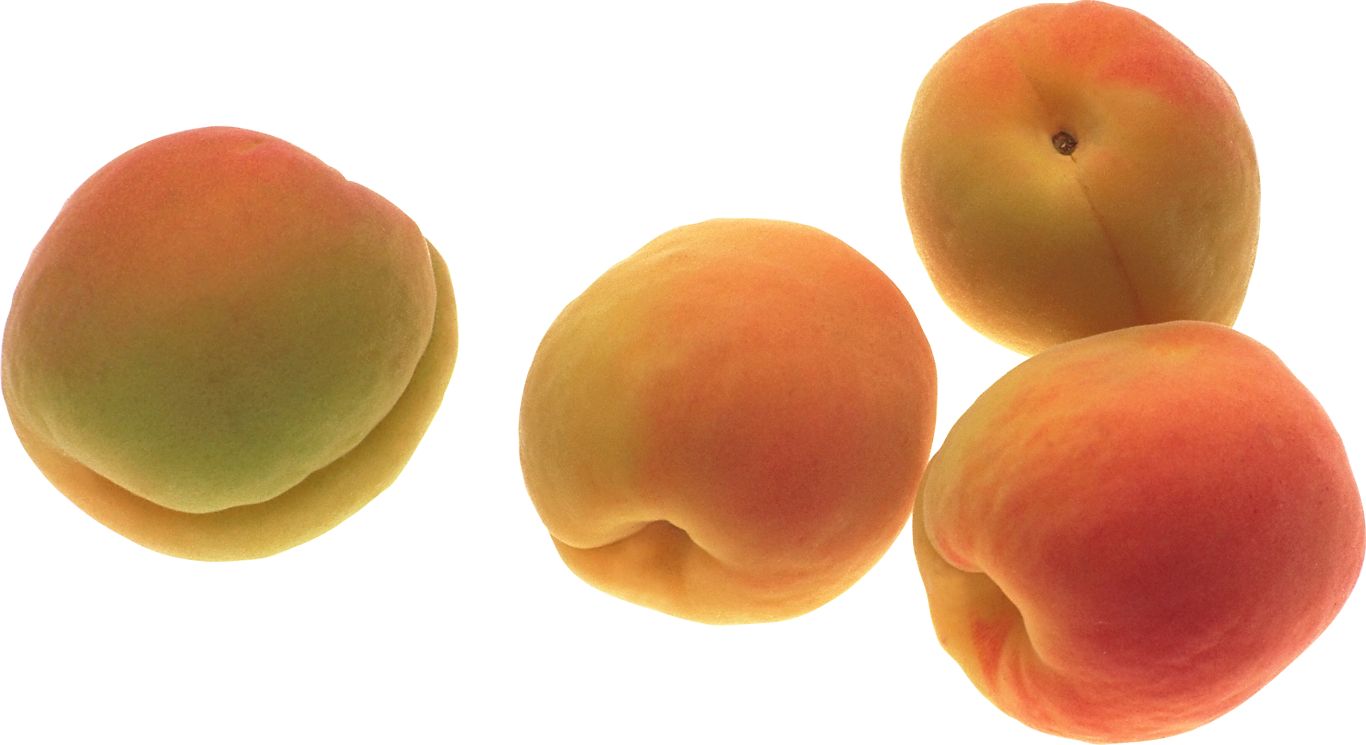 Peach PNG image    图片编号:4898