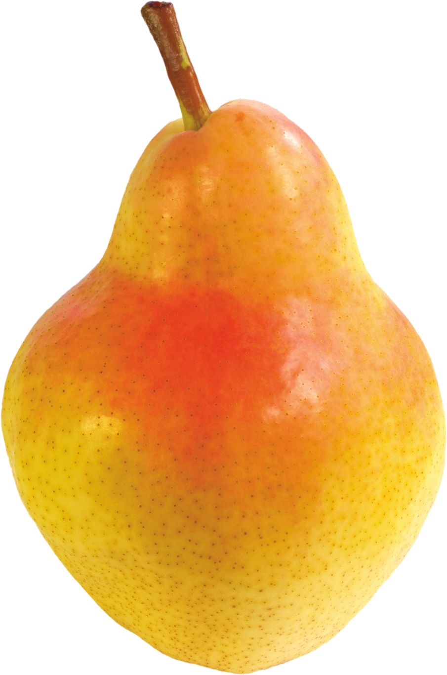 Pear PNG image    图片编号:3429