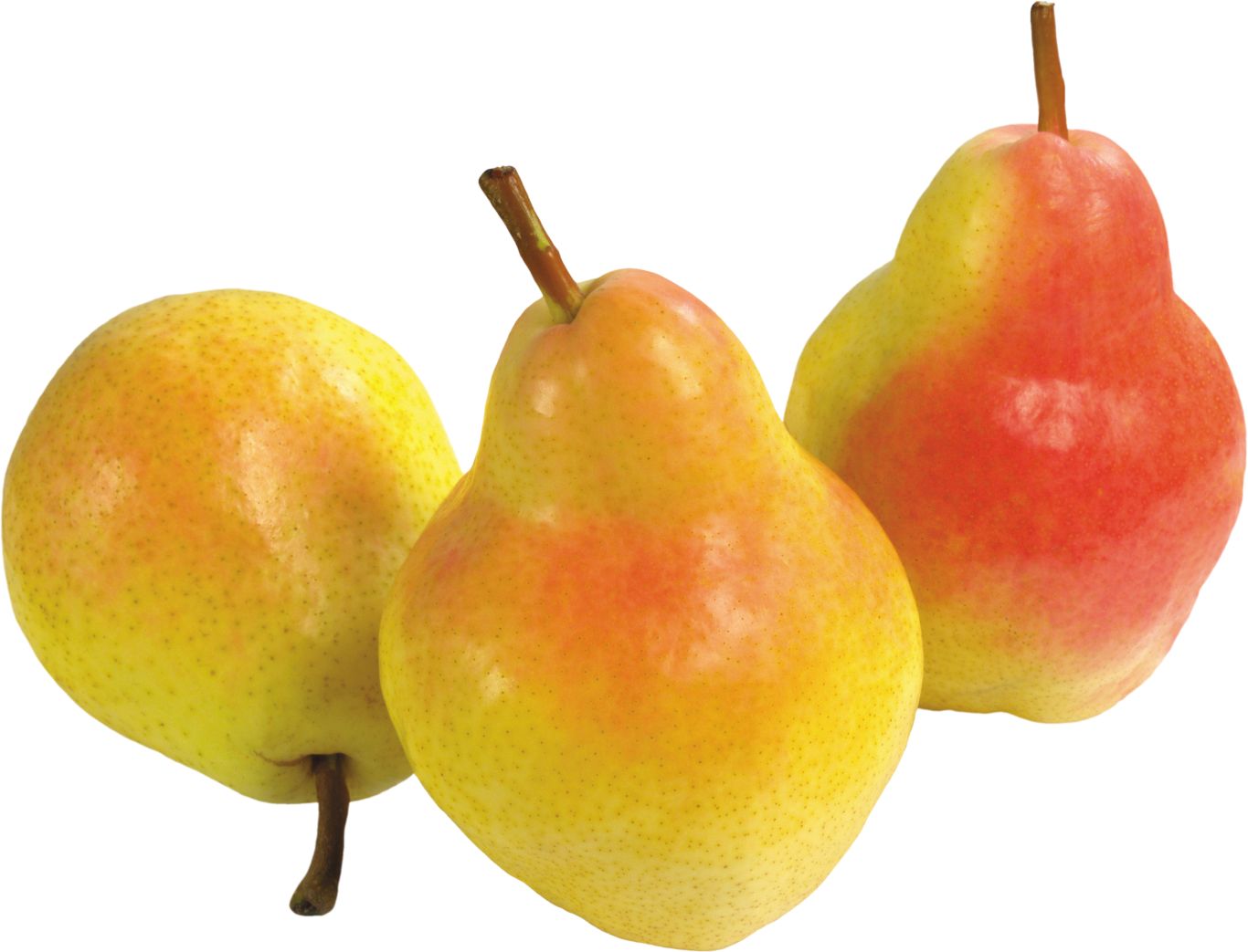 Pear PNG image    图片编号:3431