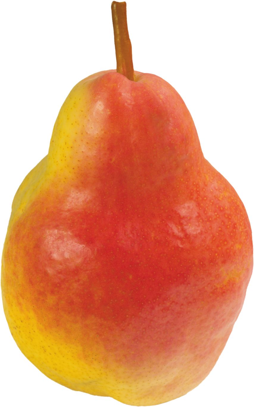 Pear PNG image    图片编号:3432