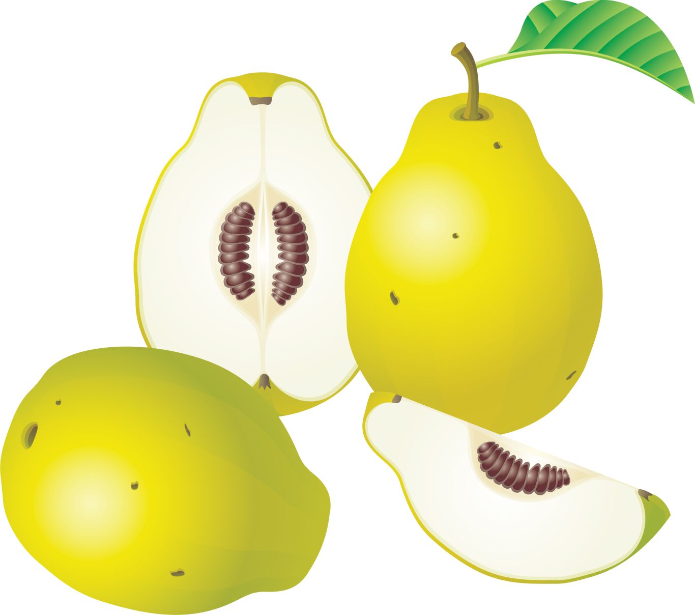 Pear PNG image    图片编号:3439