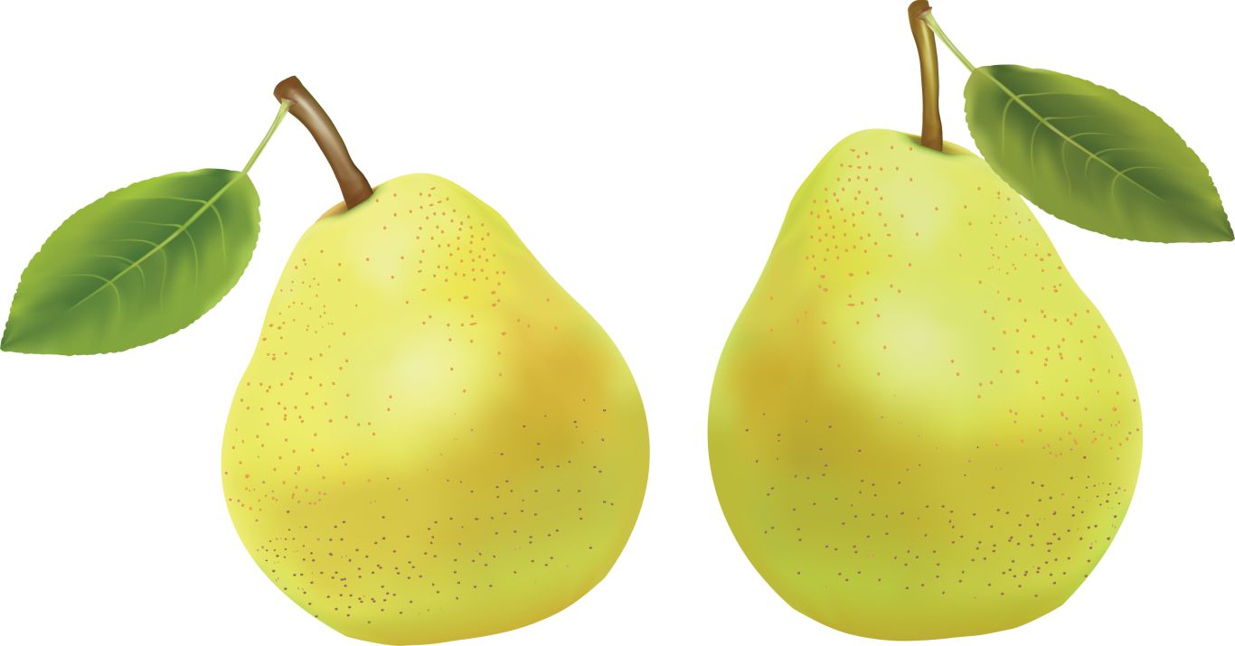Pear PNG image    图片编号:3440