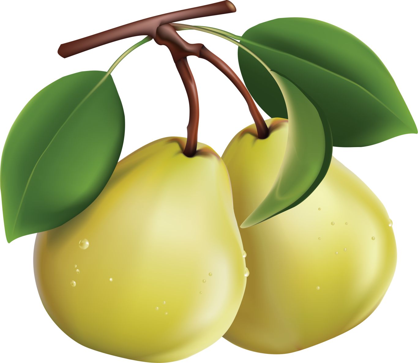 Pear PNG image    图片编号:3441