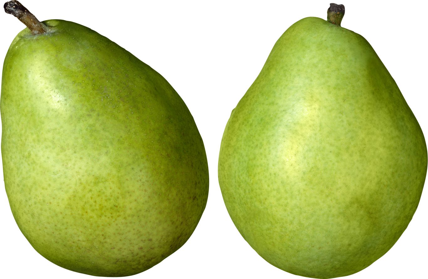 Green pears PNG image    图片编号:3442