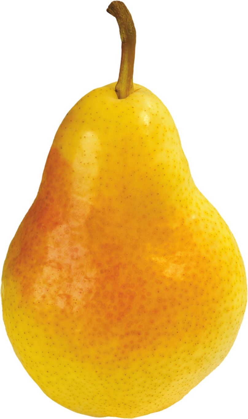 Pear PNG image    图片编号:3443