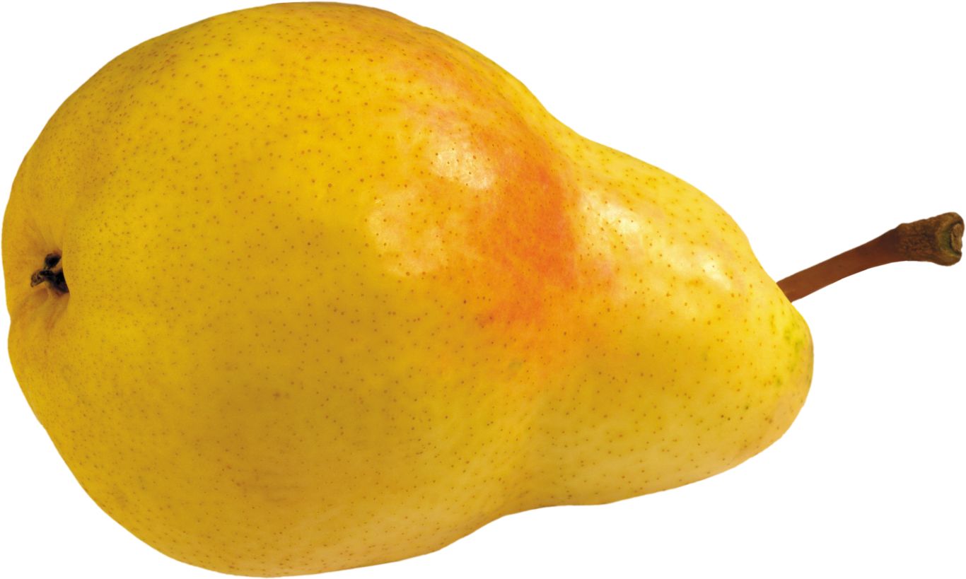 Pear PNG image    图片编号:3444