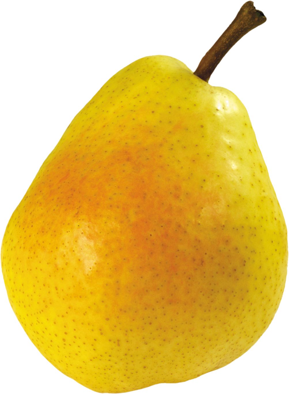 Ripe pear PNG image    图片编号:3447