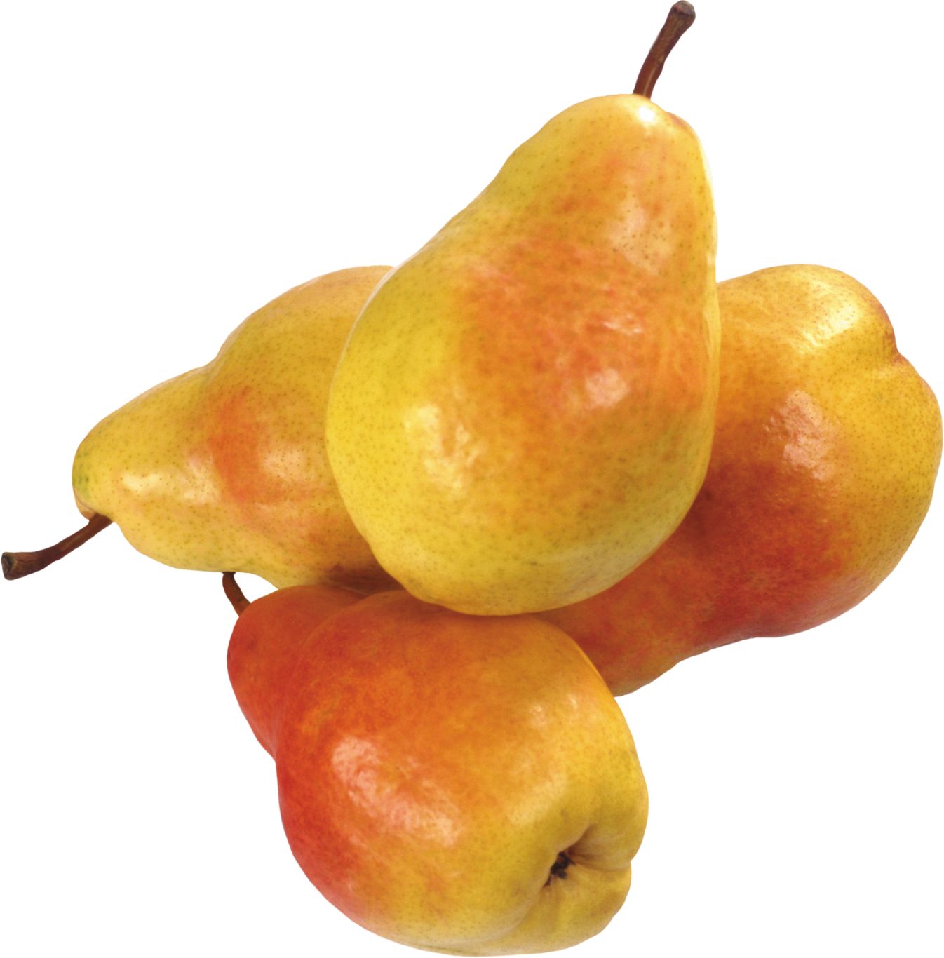 Pear PNG image    图片编号:3450