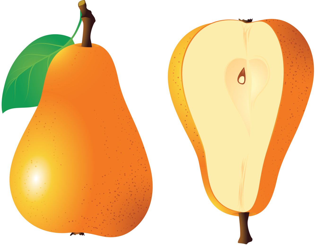 Pear PNG image    图片编号:3451