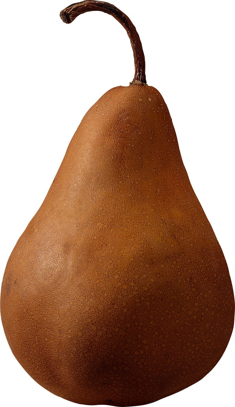 Brown pear PNG image    图片编号:3452