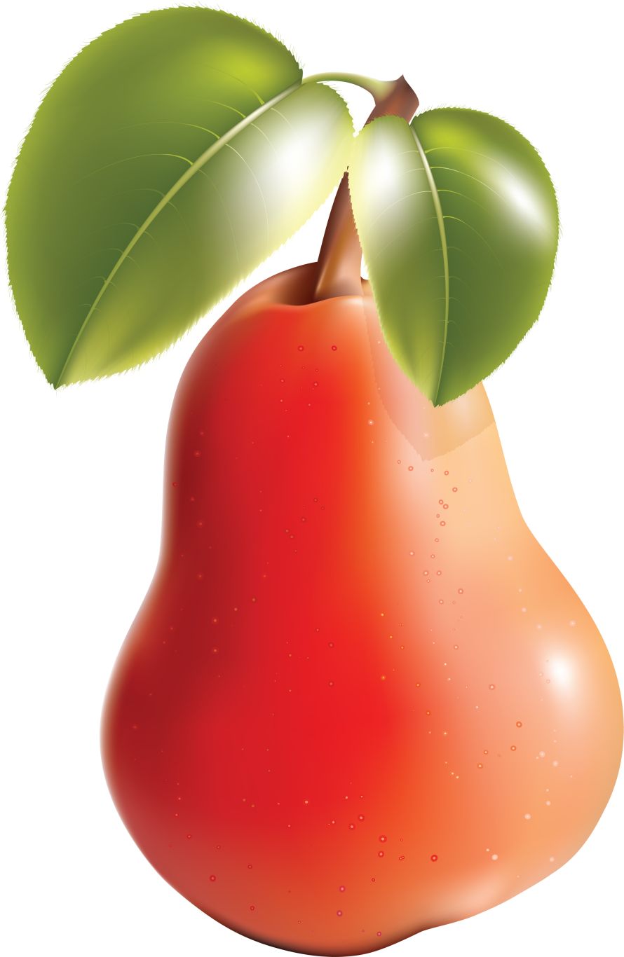 Pear PNG image    图片编号:3453