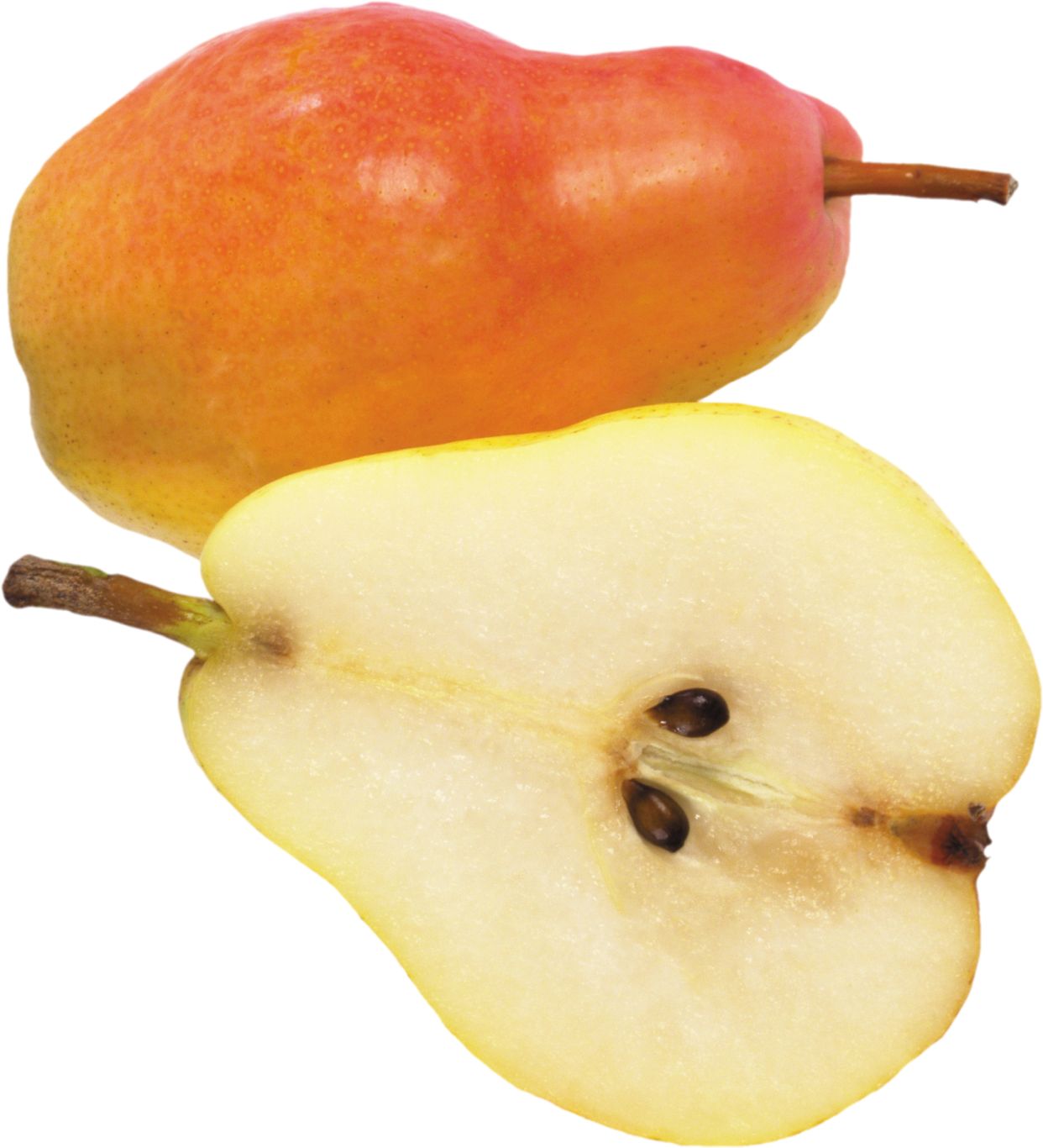Pear PNG image    图片编号:3454
