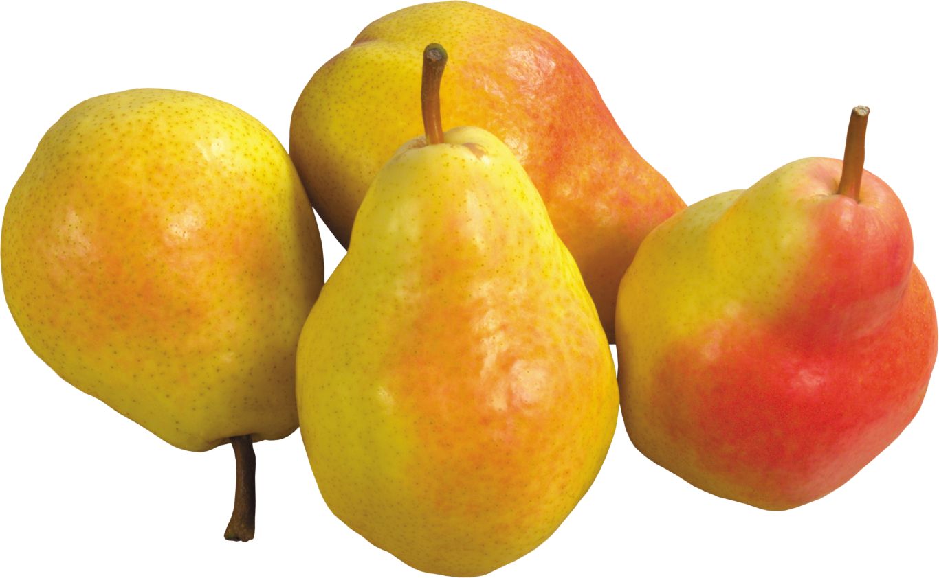 Pear PNG image    图片编号:3455