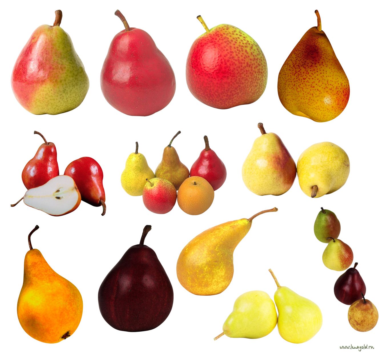 Pears clipart PNG image    图片编号:3457