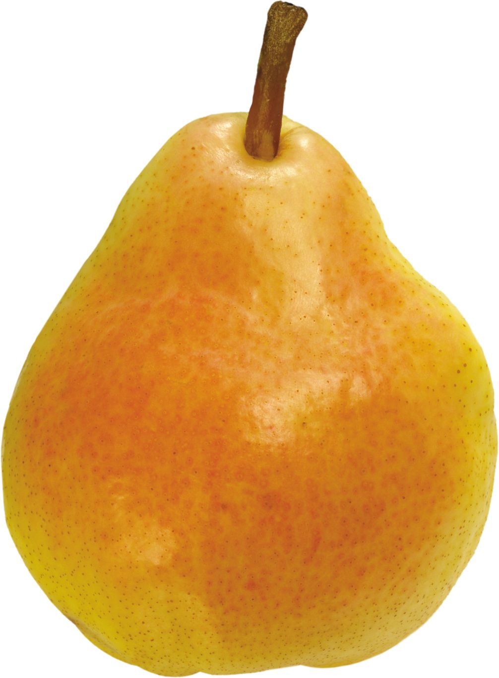 Ripe pear PNG image    图片编号:3459