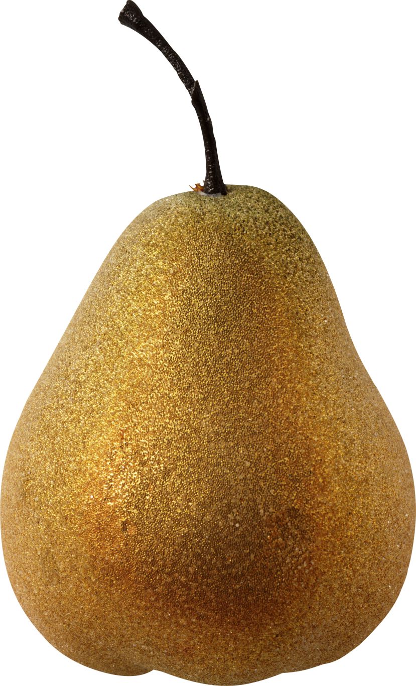Ripe pear PNG image    图片编号:3460