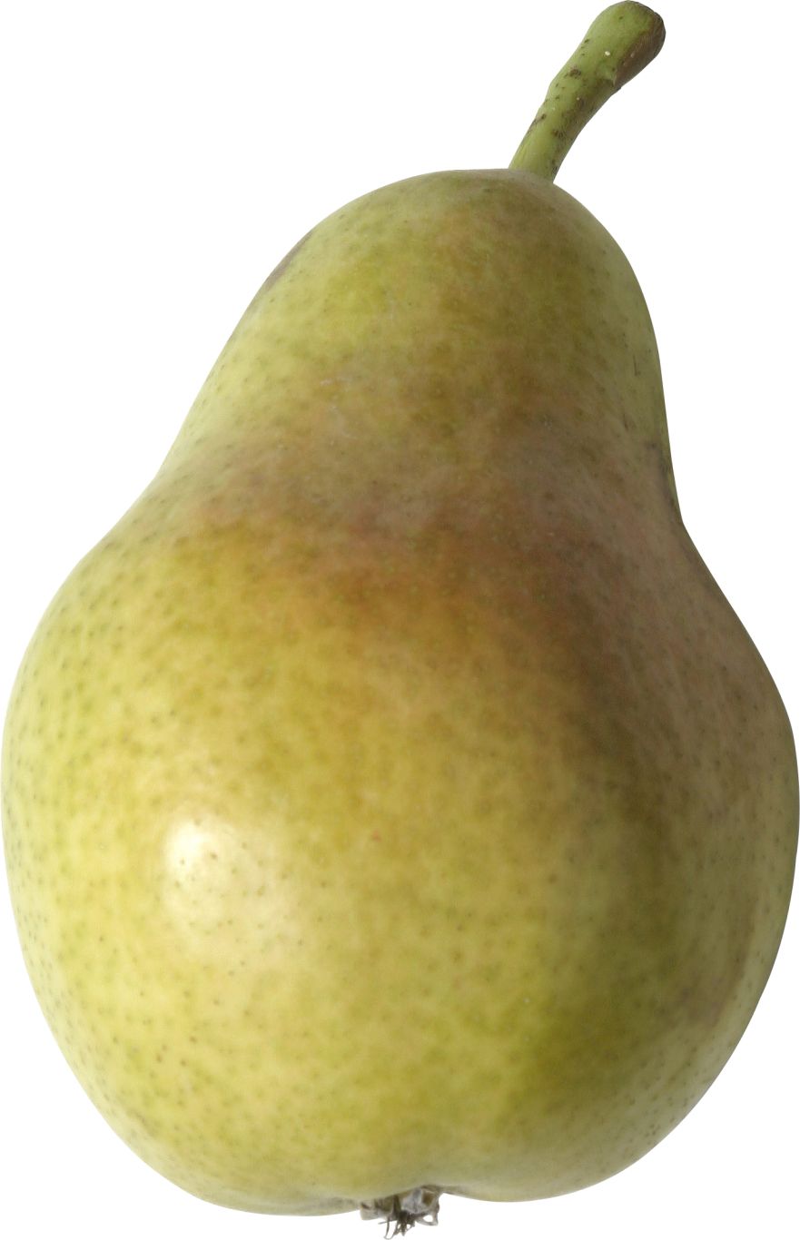 Pear PNG image    图片编号:3462